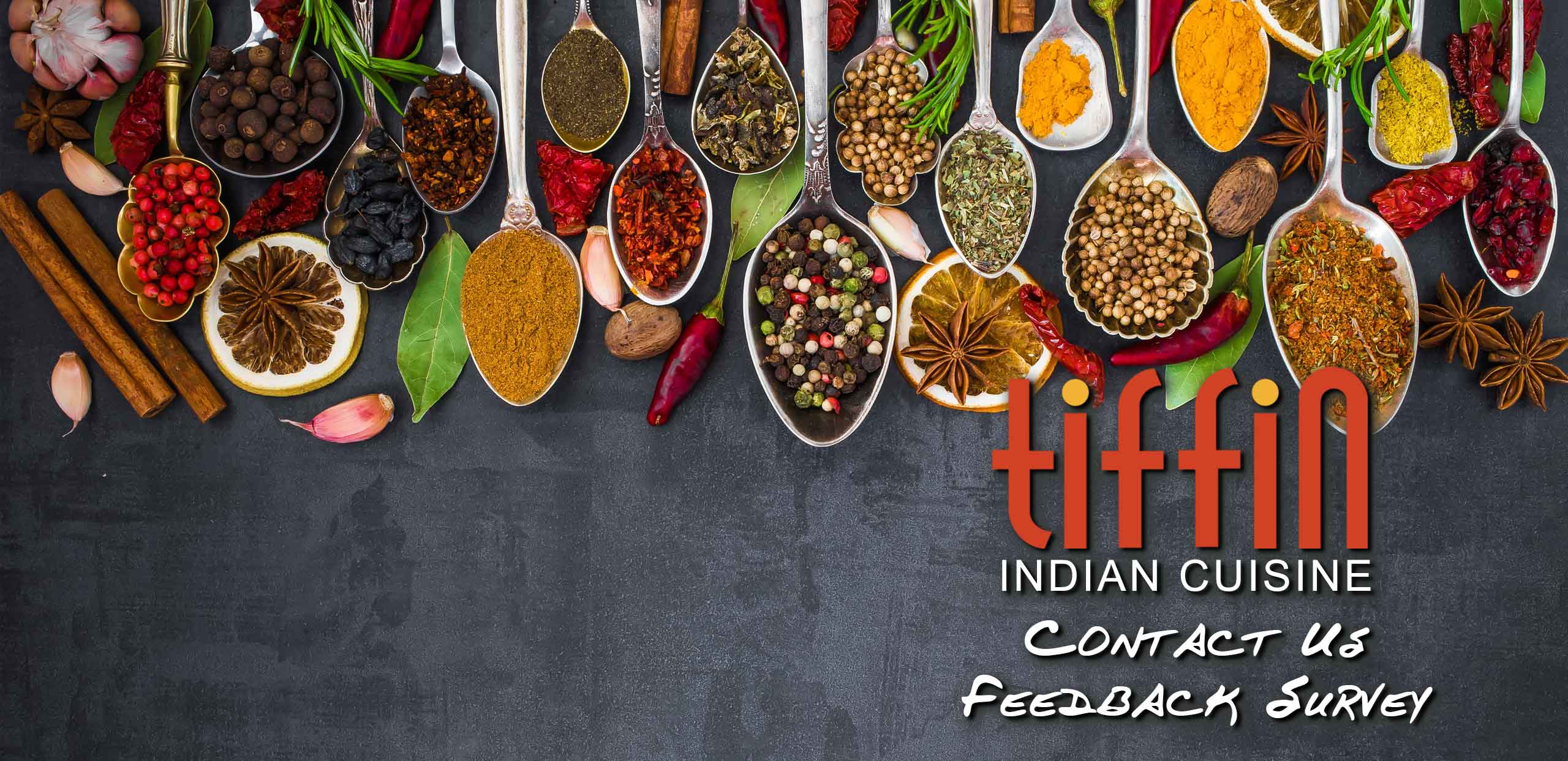 Tiffin Indian Cuisine locations: Northern Liberties, Mount Airy, South Philadelphia, Bryn Mawr Newtown Square in Delaware county, Elkins Park, Wynnewood & King of Prussia in Montgomery County