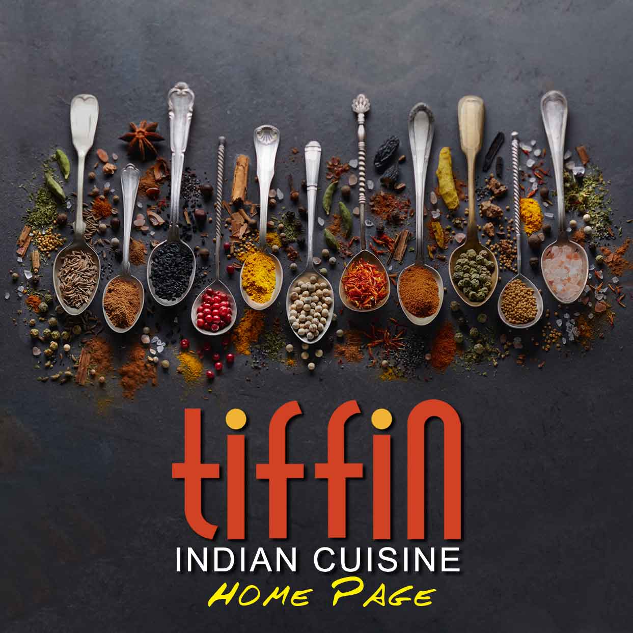 Indian Food Philadelphia Mainline Tiffin Newtown SQ PA 19073 indian-food-philadelphia-mainline-tiffin-newtown-sq-pa-19073