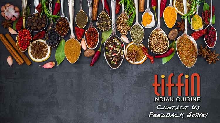 Indian Restaurant Mt Airy Tiffin Chestnut Hill Wyndmoor Lafayette Hill Allen Lane West Mount Airy Morton Andorra Roxborough Manayunk Blue Bell Hill